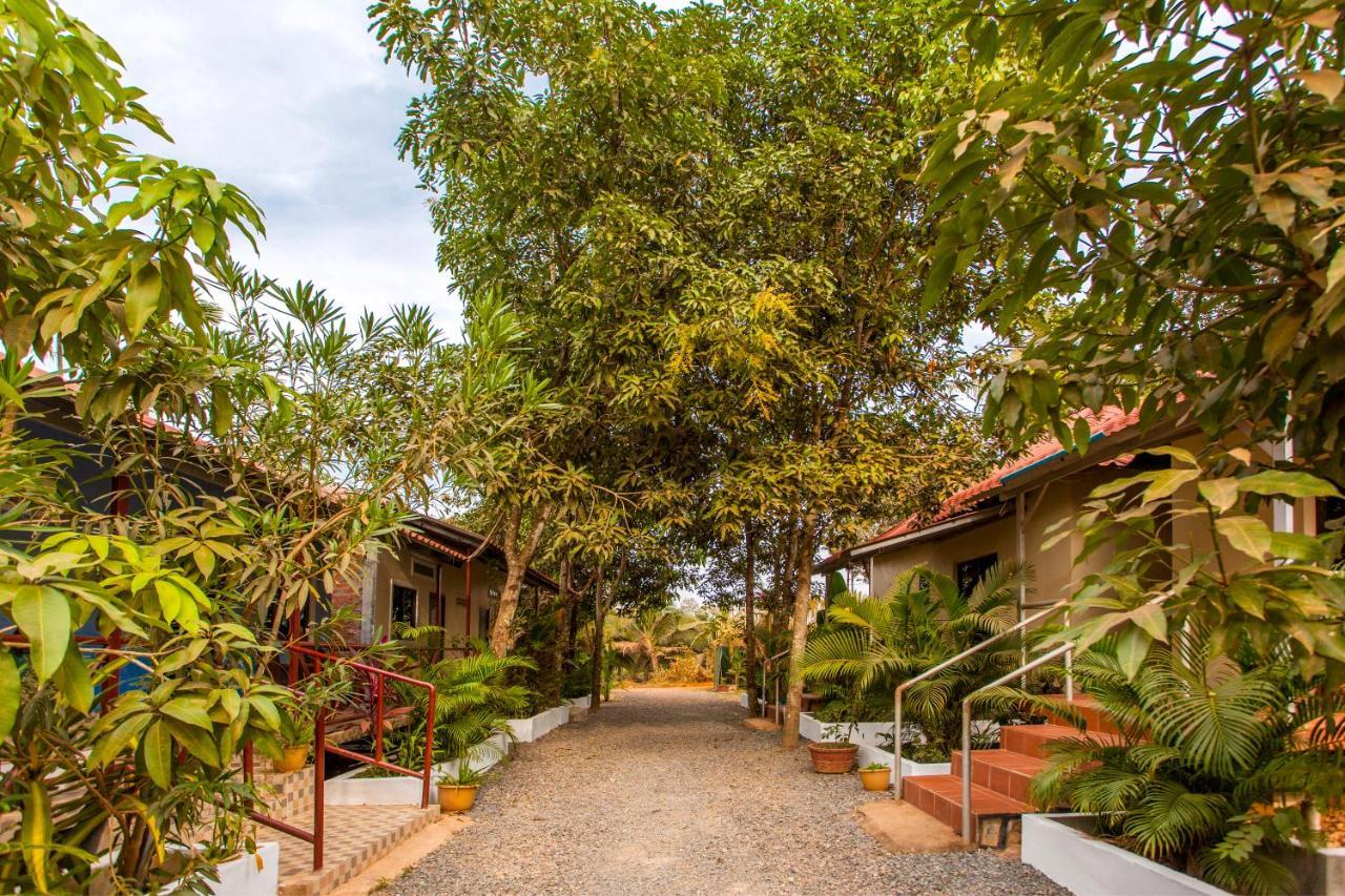 Green Mango Bungalows Kampot Dış mekan fotoğraf