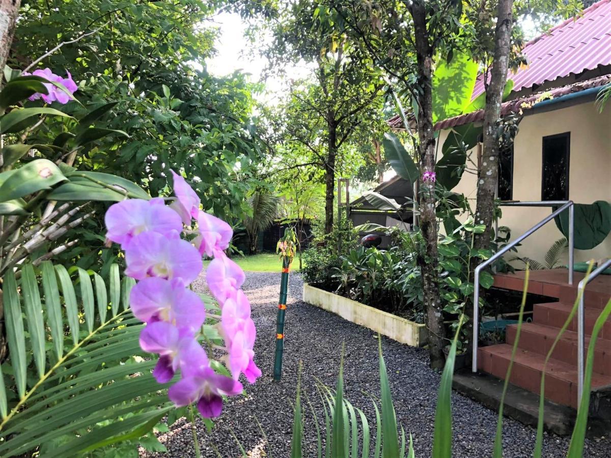 Green Mango Bungalows Kampot Dış mekan fotoğraf