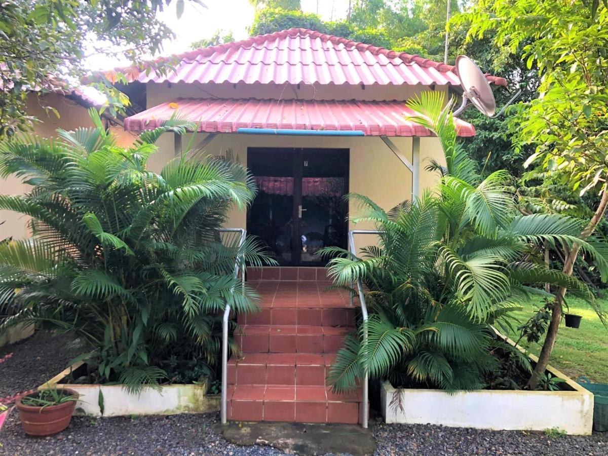 Green Mango Bungalows Kampot Dış mekan fotoğraf