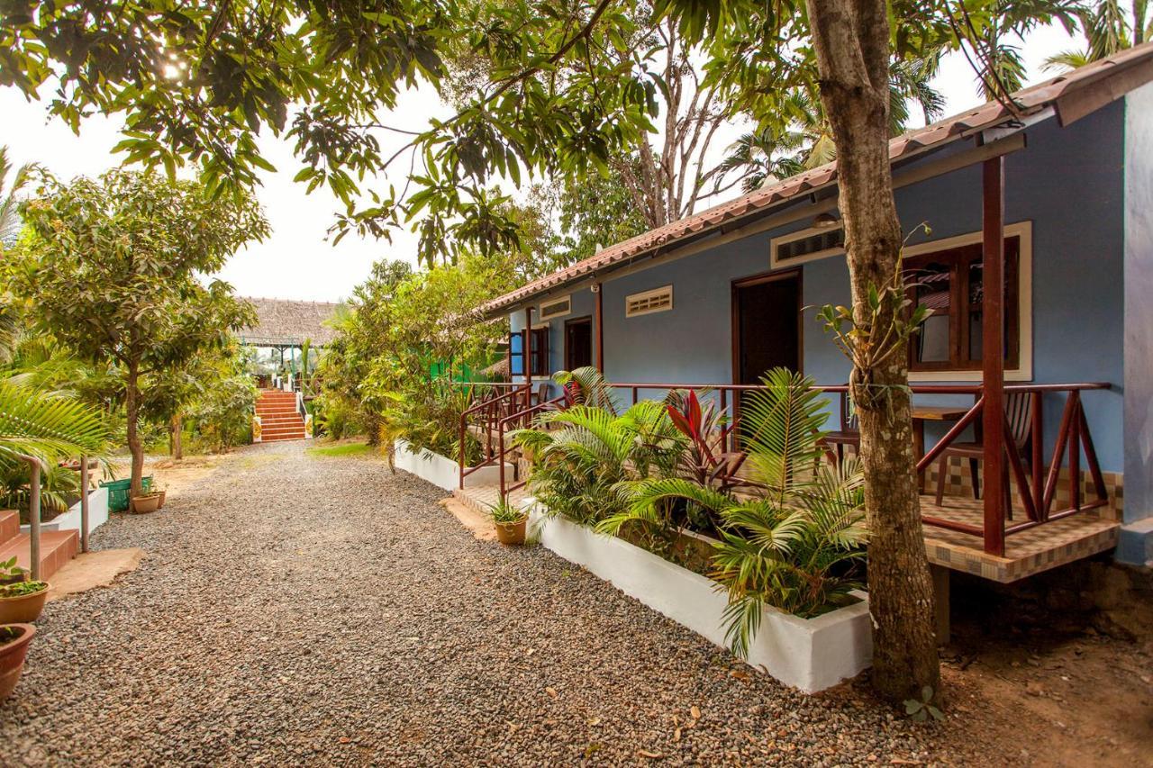 Green Mango Bungalows Kampot Dış mekan fotoğraf