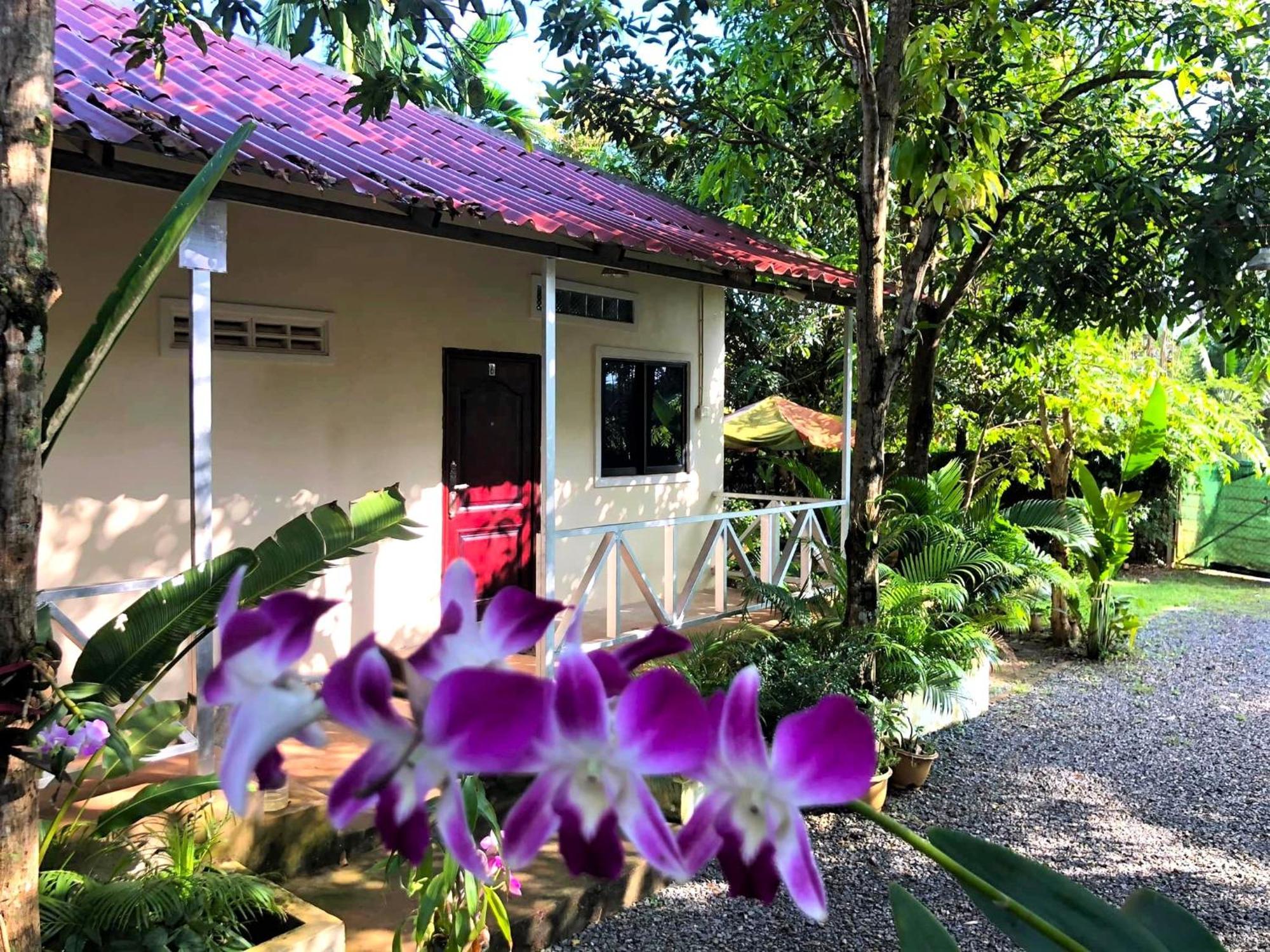 Green Mango Bungalows Kampot Dış mekan fotoğraf