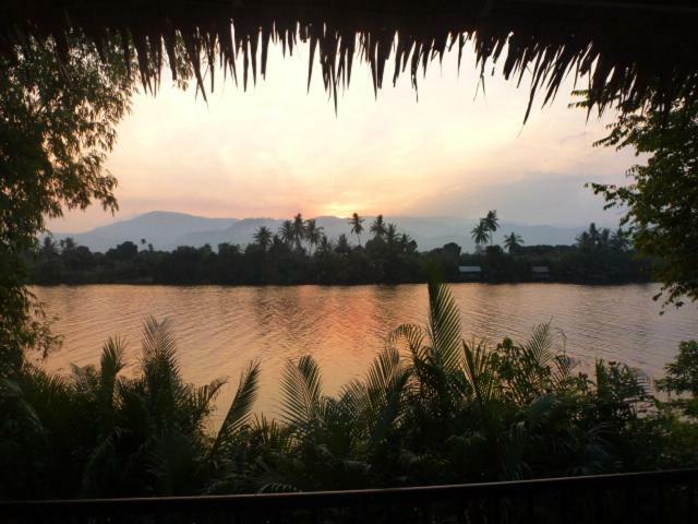Green Mango Bungalows Kampot Dış mekan fotoğraf